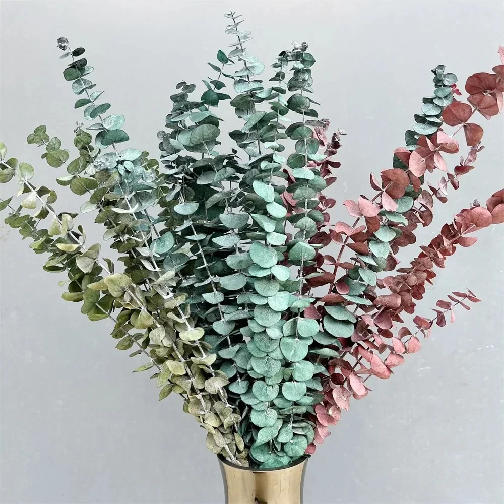 

Eucalyptus Leaves Natural Fresh Preserved Dried Plant for Wedding Home Party Decoration Dry Branches Leaf Wedding Decoration