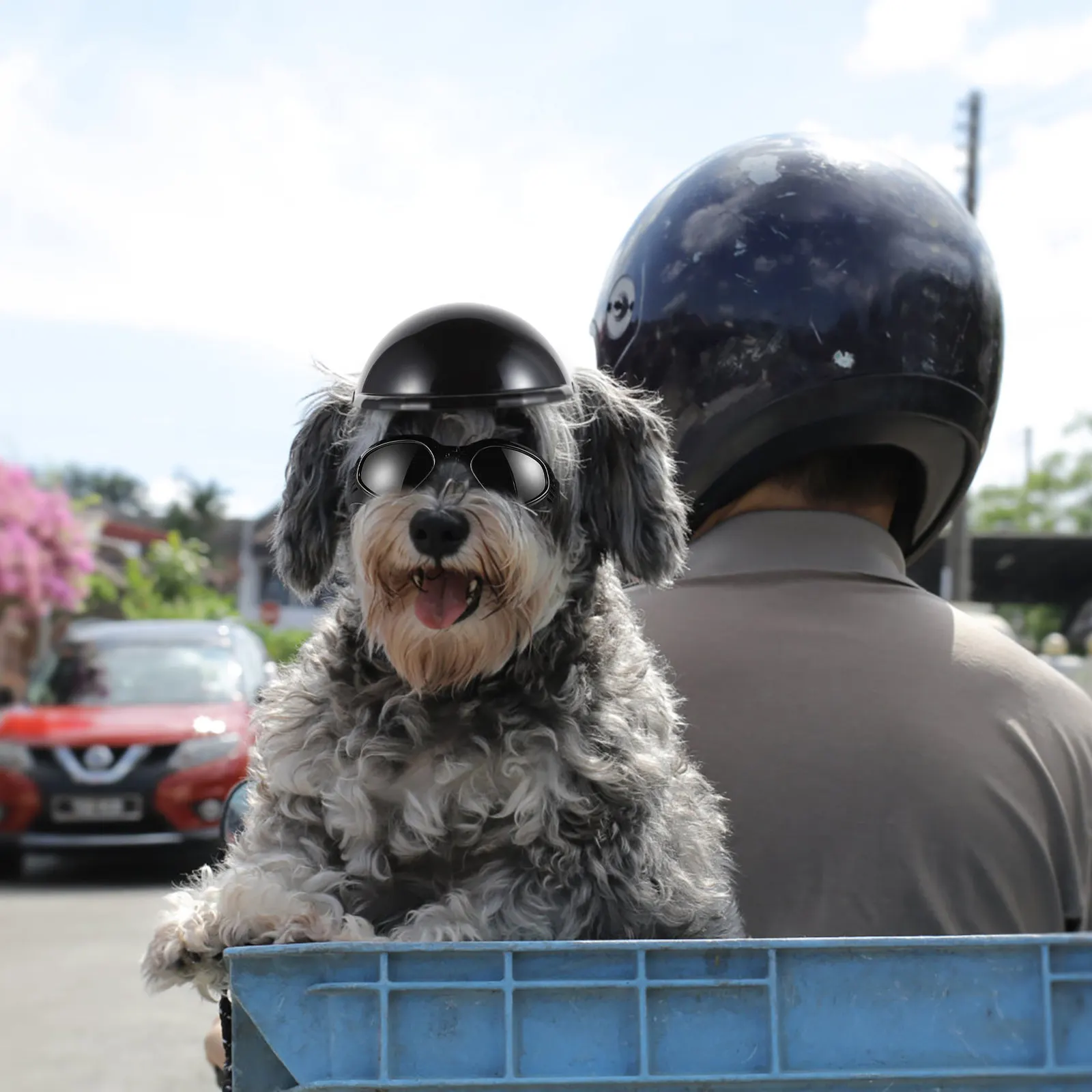 

1 комплект регулируемых защитных шапок для кошек и собак, легкие, прочные, декоративные, забавные игрушки, реквизит для фотосессий, товары для животных