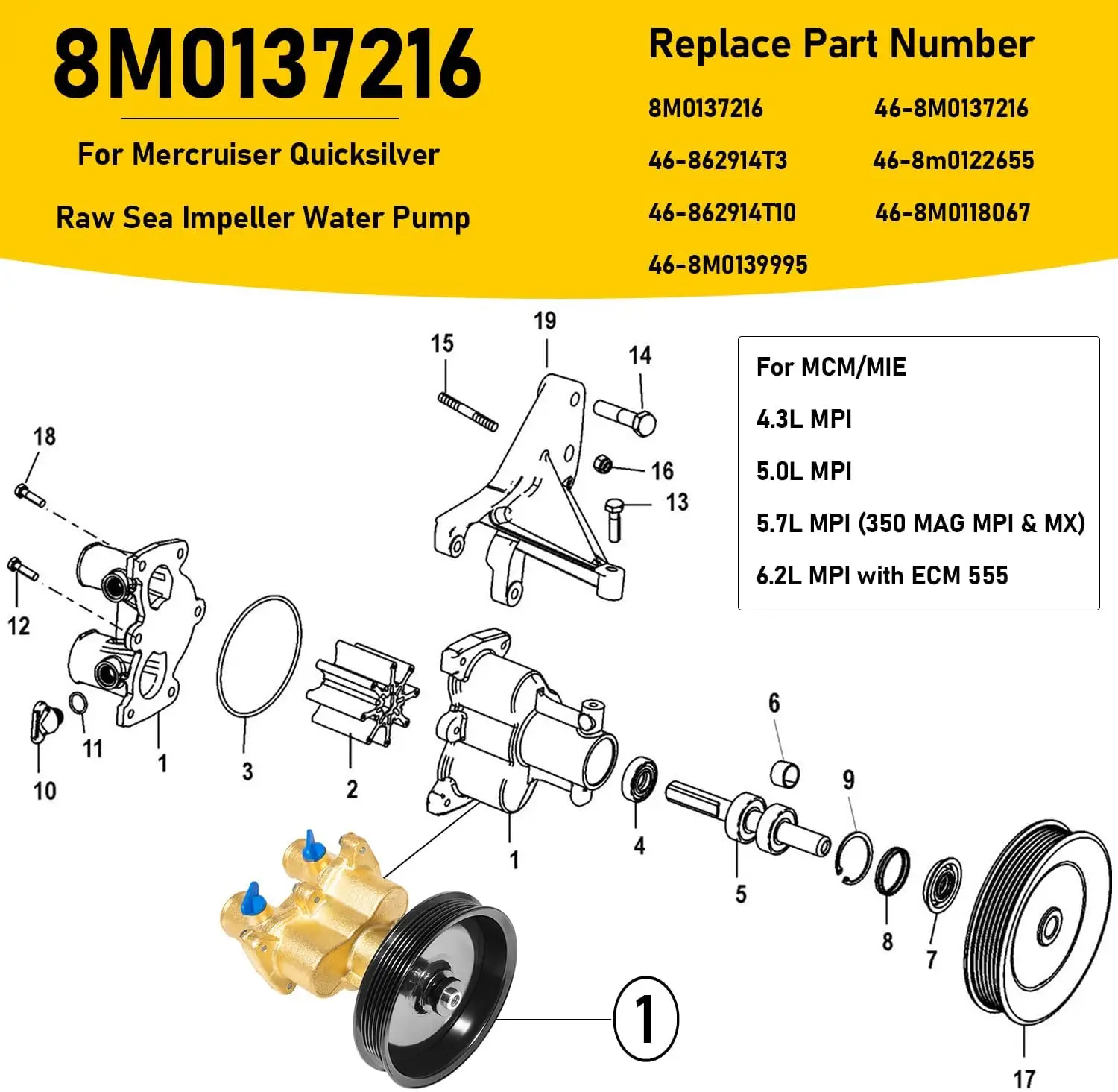 Kit de pompe à eau de mer brute en laiton, Mercury Mercruiser, Quicksilver 4.3, 5.0, 5.7, 6.2, Remplacer #8M0139995, 8M0137216, 46-862914T10