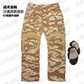 Tiger Pattern