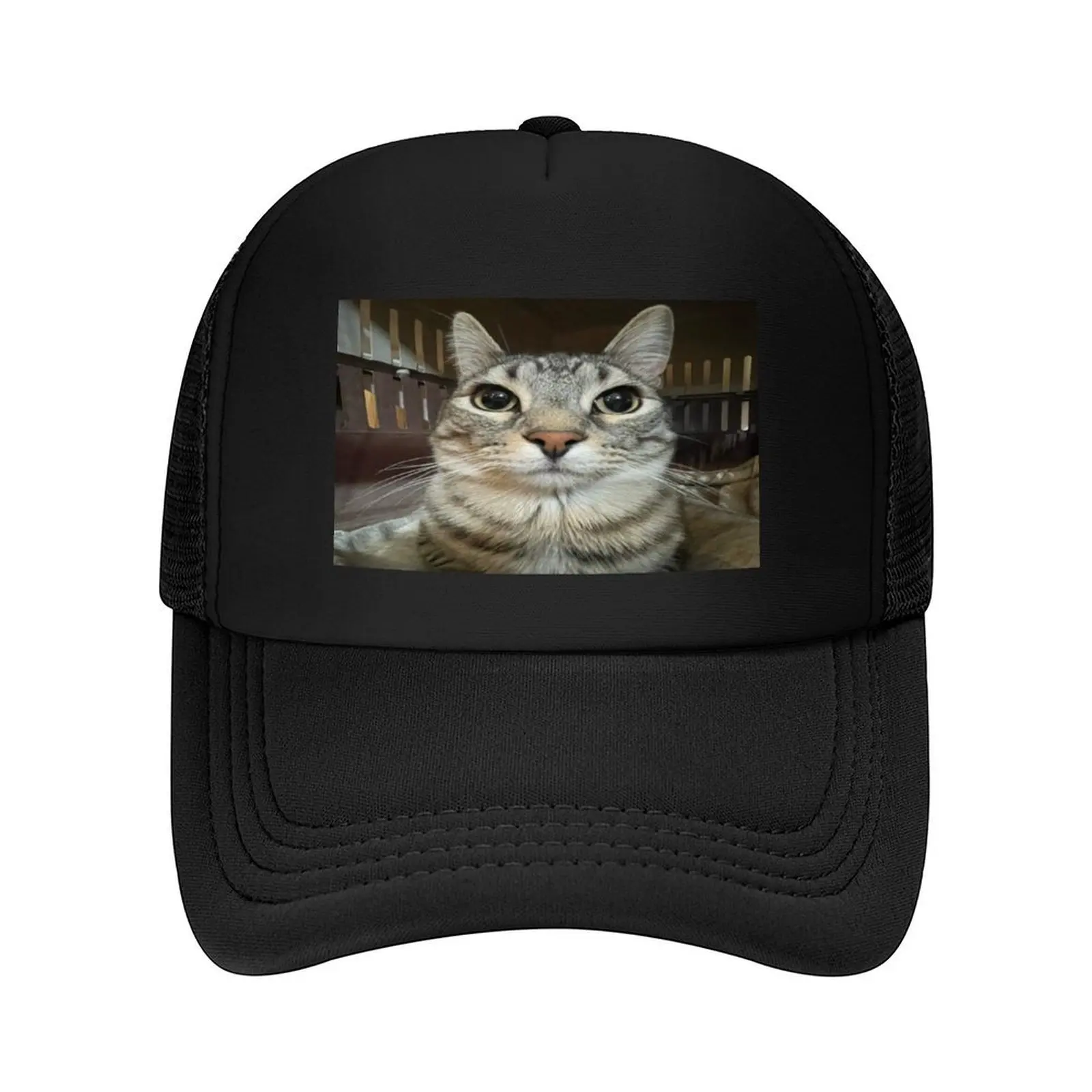 

Cat looking directly at you Baseball Cap Military Cap Man Cosplay fun hats New In Hat For Women Men's