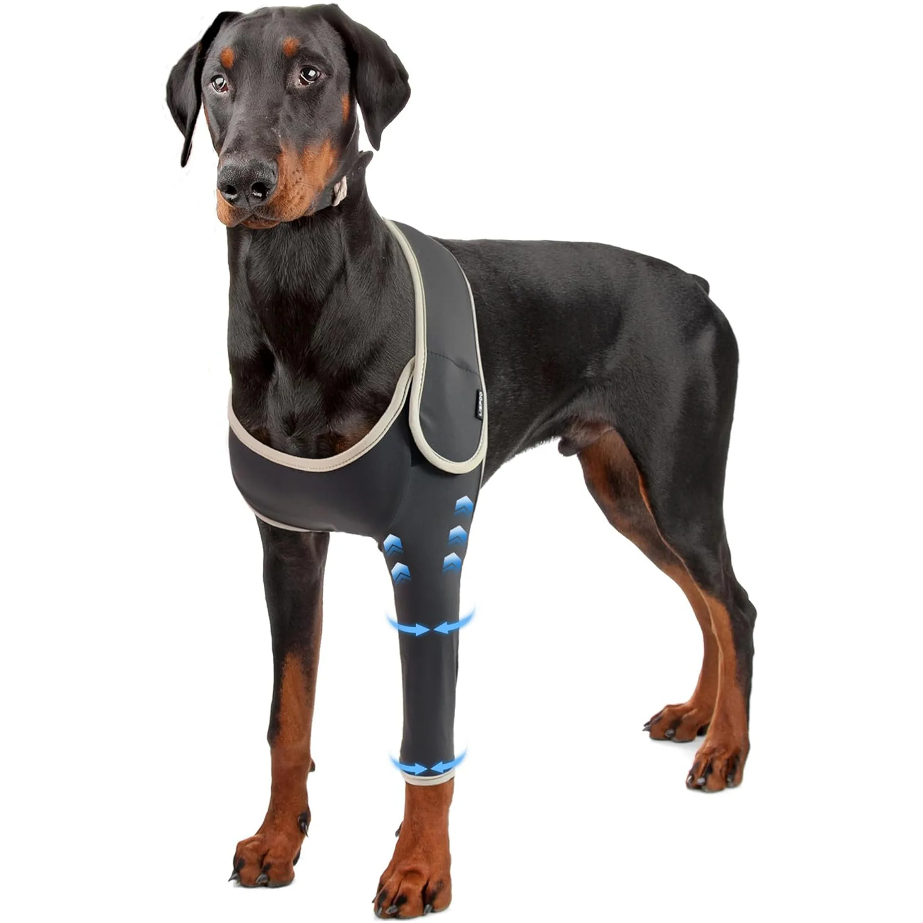 

Hot Sale Pet Leggings Dog Leggings Knee Assist with Legs Joint Protection Single Leg Double Leg Dog Leggings