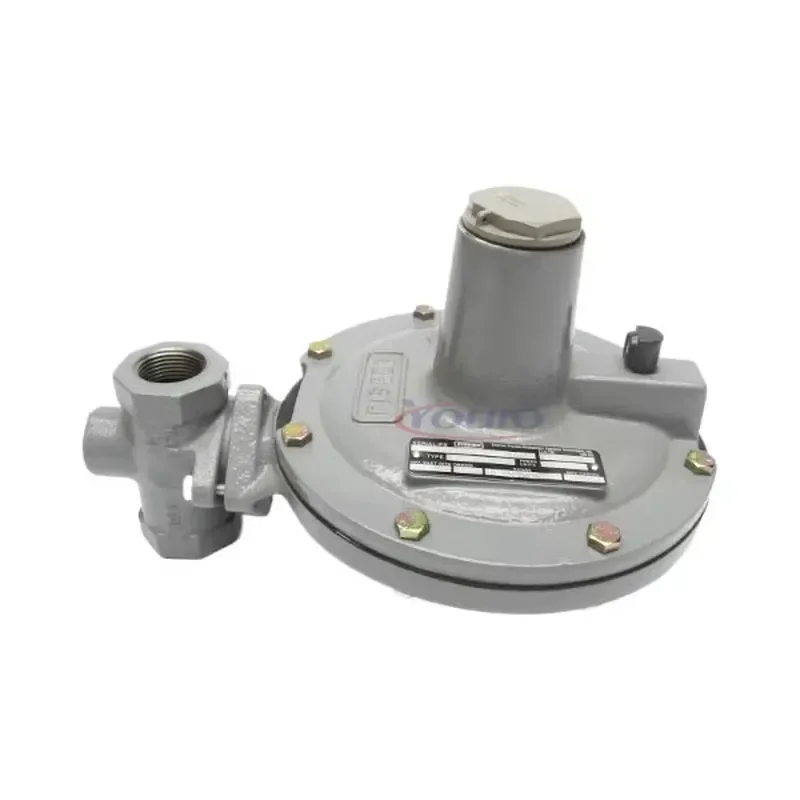 Brand New High-pressure Direct-Operated Pressure Reducing Regulator Y690AH Y690AM in Stock