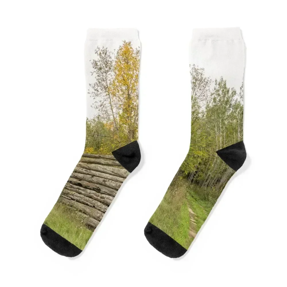 

Reclaimed by Nature - Abandoned Log Cabin in the Woods Socks designer moving stockings hockey Designer Man Socks Women's
