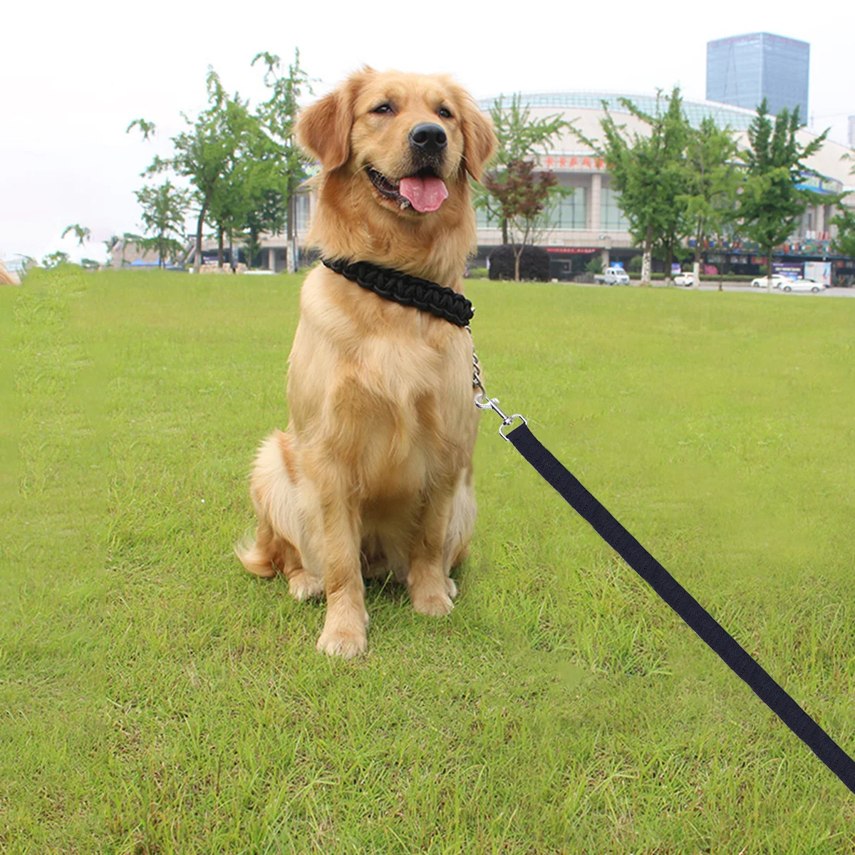 

20M Long Pet Training Leash Dog Obedience Lead Heavy Duty Chromed Connector Durable Comfort Release For Puppy