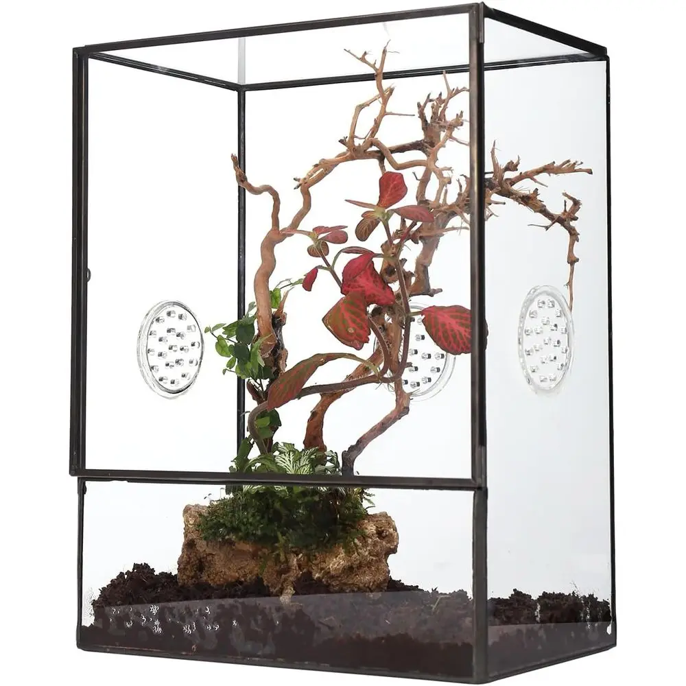 

Glass Terrarium with Front Opening Door and 3 Vents for Insects, Snail, Spider, Glass Enclosure - 8"x4.5"x10" Clear Closed Plant