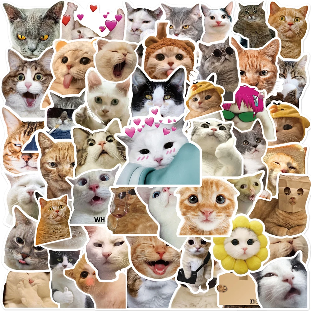 10/30/50PCS Cat MEME Funny Animals Stickers Vintage Toy DIY Kids Notebook Luggage Motorcycle Laptop Refrigerator Decals Graffiti