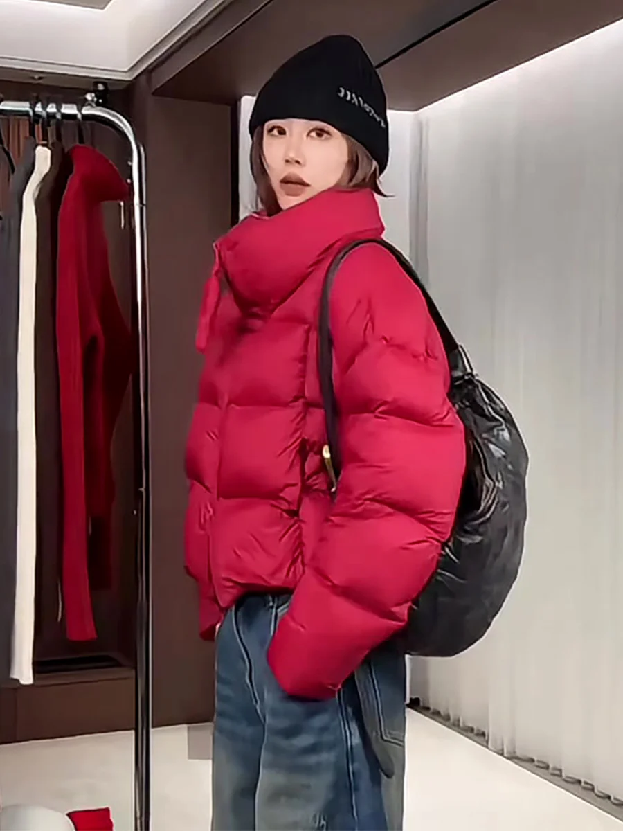 Piumino Rosso da Donna Inverno 2026 Nuovo Modello Nazionale con Collo Alto 90% Piuma d'Oca Bianca Caldo Cappotto Imbottito con Zip Casual...