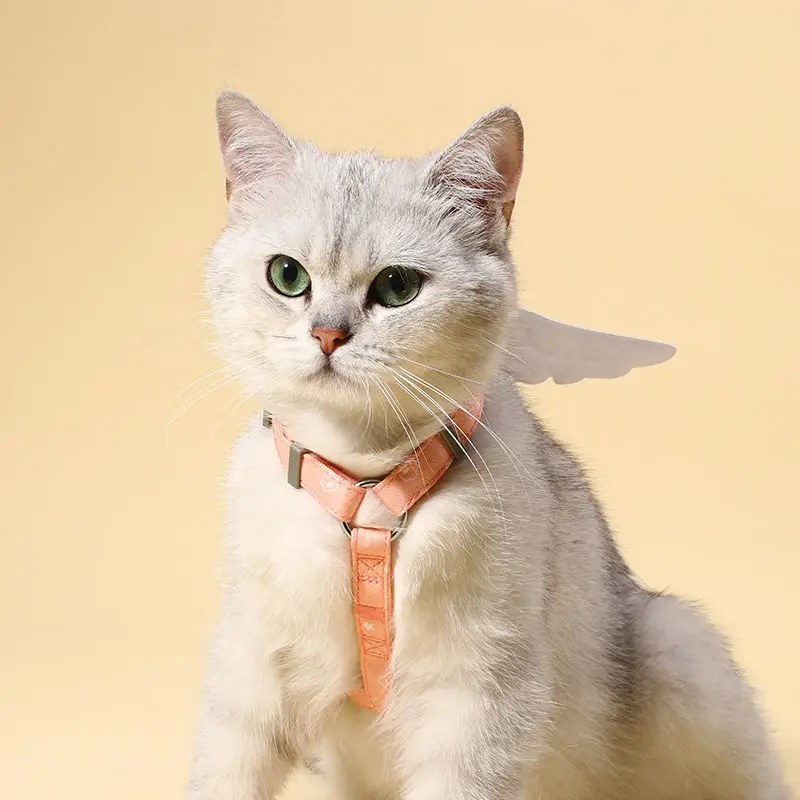 Sweet  Angel Wing Cat Harness 120cm Leash Outdoor Cat Dog Harness and Leash Set Water Proof Vest Chest Strap Kitten Accessories