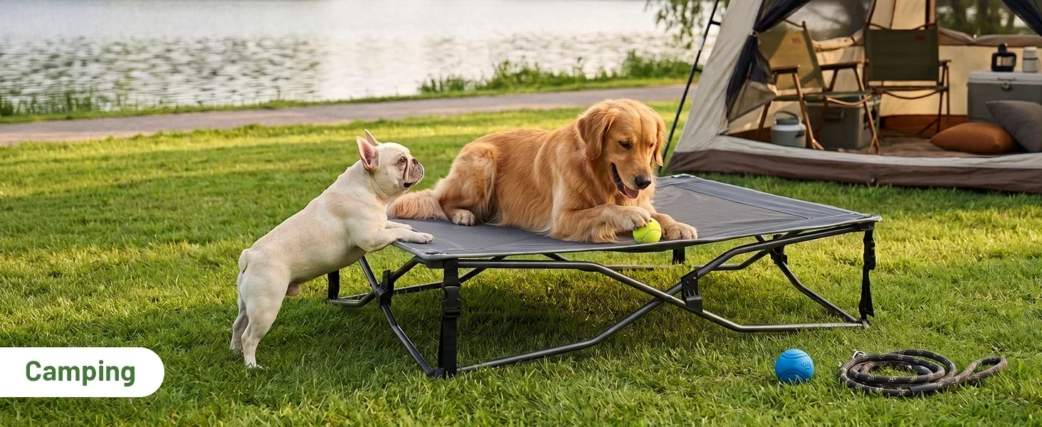 dog cot