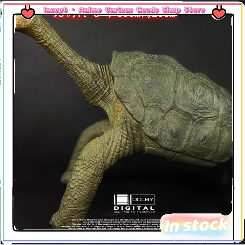 

В наличии: Новые коллекционные фигурки черепах Джордж и Джорджина для взрослых, игрушки-подарки на день рождения