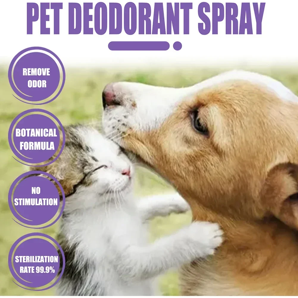Desodorierungsspray für Haustiere, 50 ml, Hundeparfüm, Lavendelöl, Desodorierungsspray, Anti-Juckreiz, duftendes Schönheitspflege für Katzen und Hunde – Detail 7