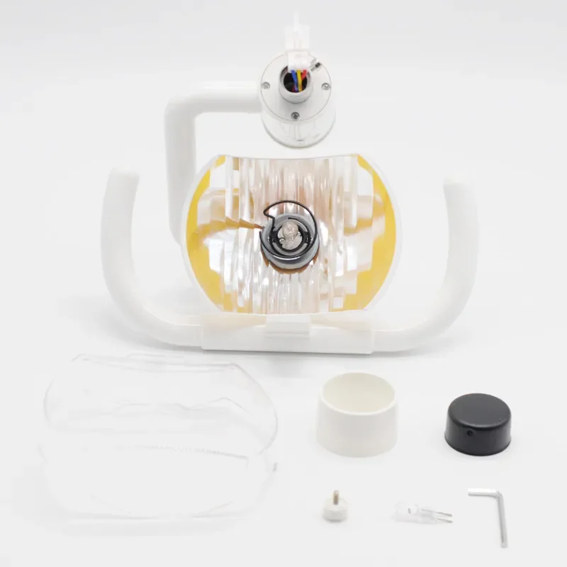 Lâmpada halógena dental exame de gengivas oral multi-ângulo escamação holofote cadeira acessórios dentes branqueamento ferramentas ortodônticas 50w