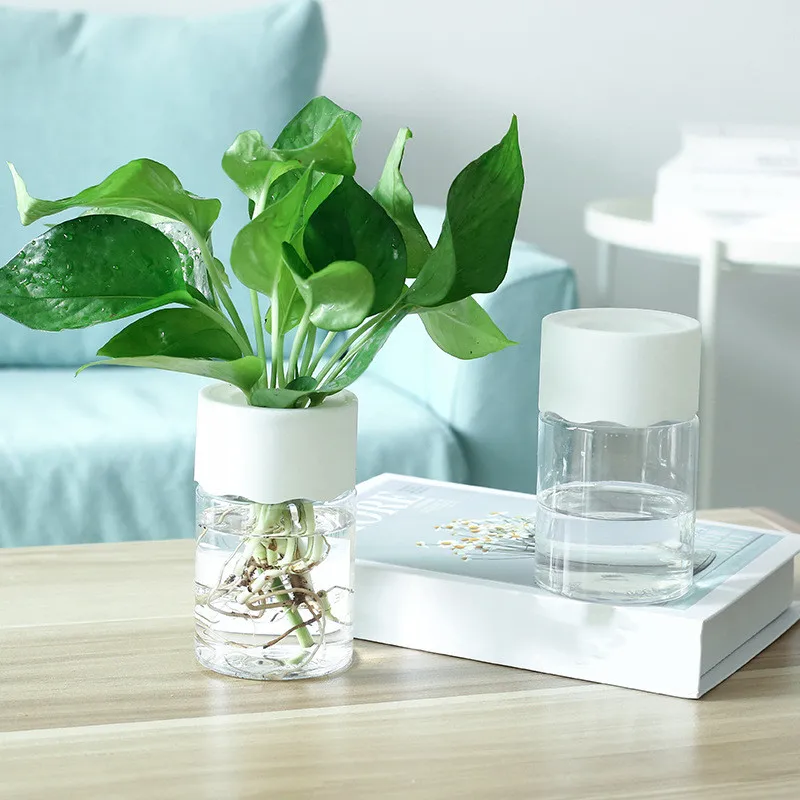 Pot de fleur hydroponique paresseux, pot de fleur transparent, vase de plantes brittop en plastique, décor de bonsaï pour la maison et le bureau