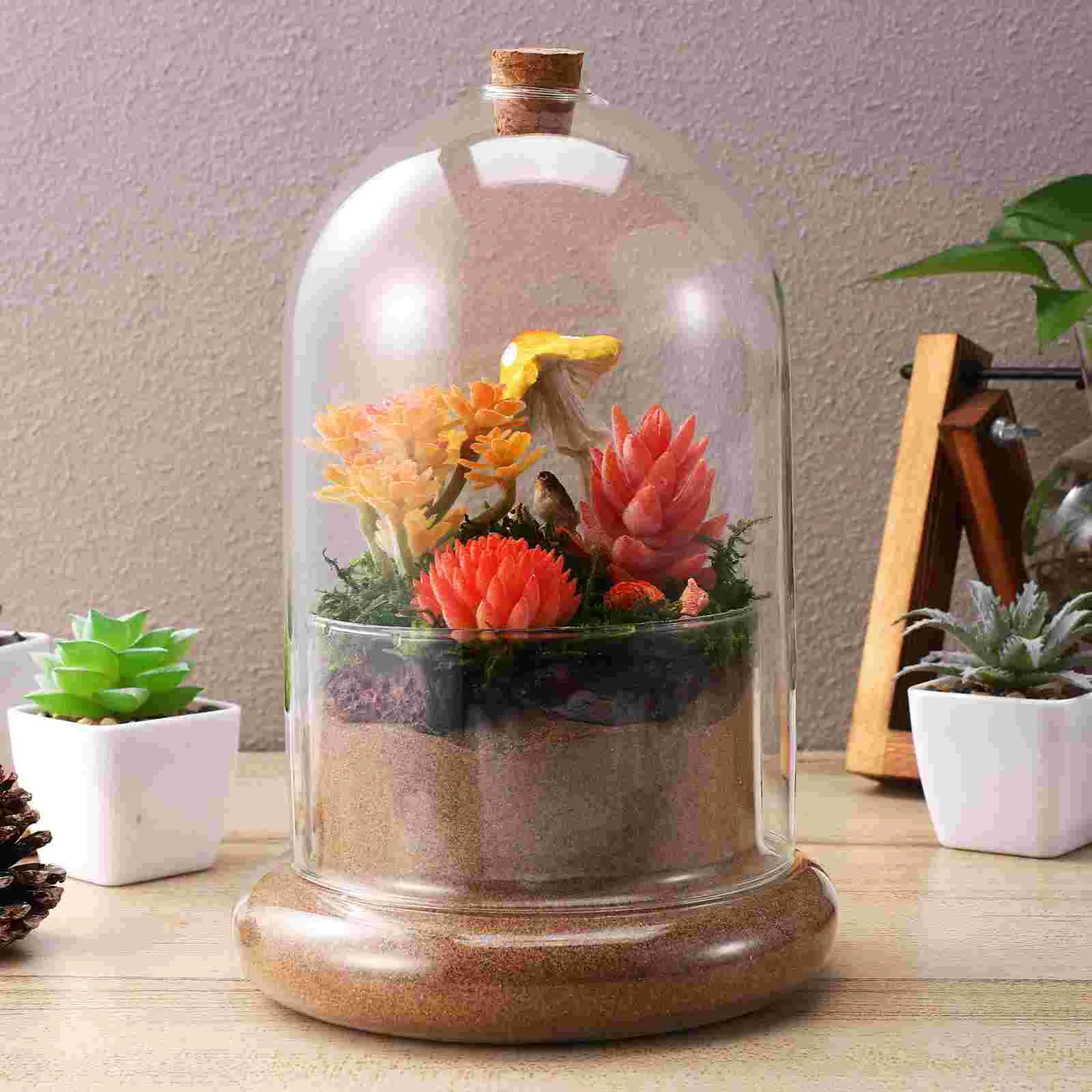 Landscape Moss Eternal Flower 14x20 Glass Terrarium Hole Stable Base Desk Vase Planter Home Office Decor Mini