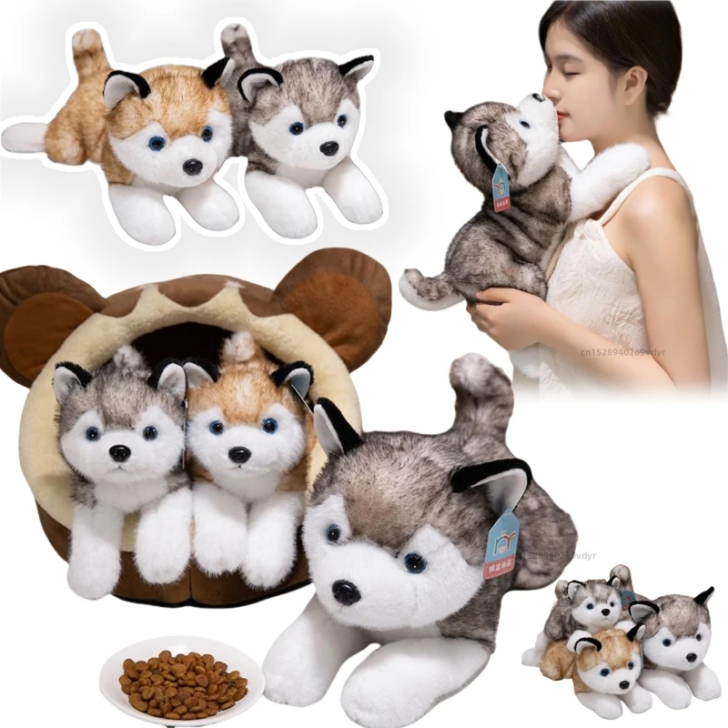 30-50cm Cute Husky Simulated  Plush Dolls Soft Dog Pillow kawaii Animals Toys Lucky Birthday Gifts For Girls Boys Home Decor