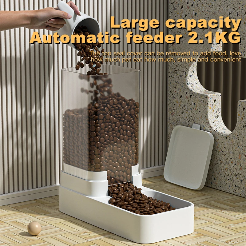 Thumbnail 3 - #66 Compare Automatic Cat Feeders Before You Buy