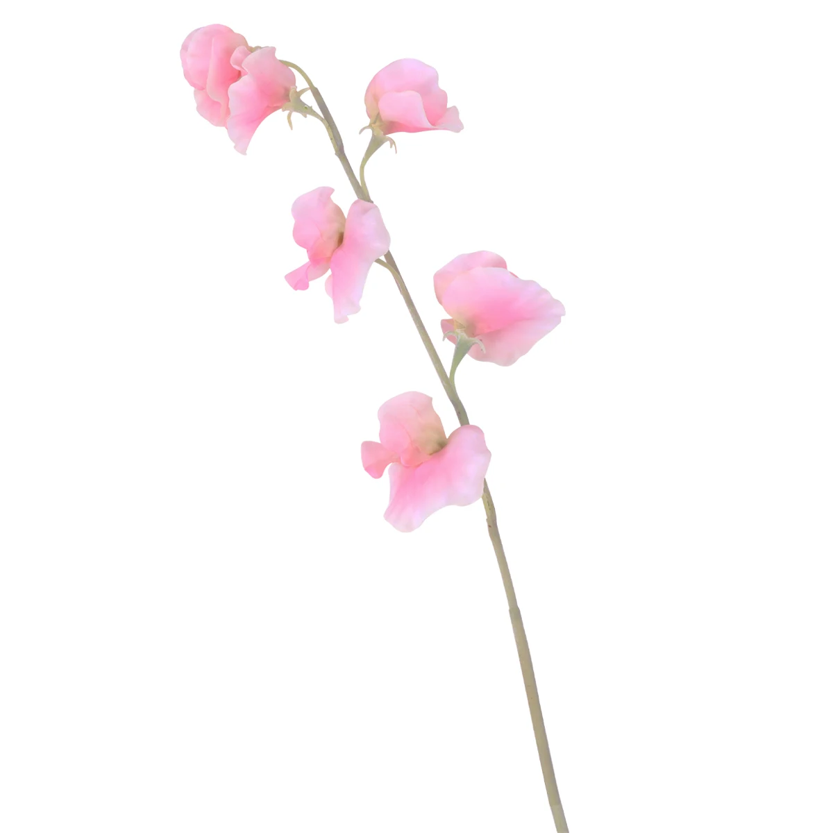 

Simulation Pea Blossom Decorative Flower Arrangement Home Wedding Fake Flowers H made Quality