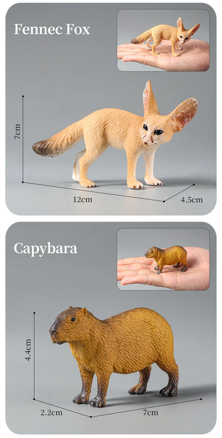 Montessori Wildtiere Modell Spielzeug Set – Löwe Elefant Antilope Actionfiguren Miniatur Zoo Figuren Pädagogisches Geschenk für Kinder – Detail 20
