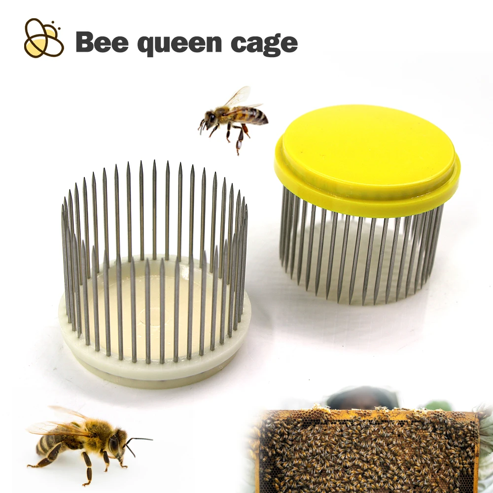 

2-10Pcs Beekeeping Queen Bee Cage Stainless Steel Needle Beehive Tool Rearing Cover Catcher Captivity Cells Beekeepers Equipment