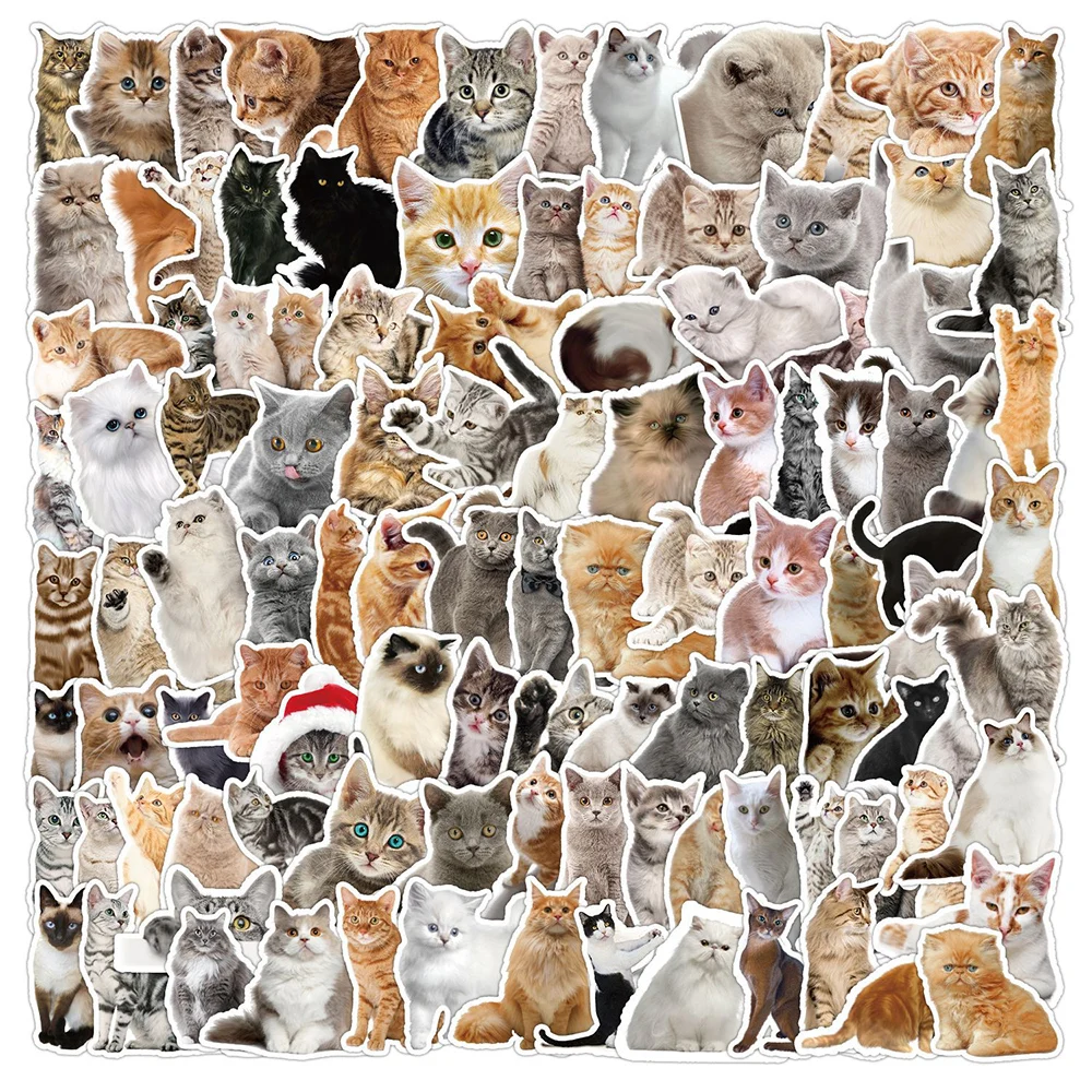 10/30/50/100pcs Kawaii gatti adesivi Cute Kitten Cartoon decalcomanie fai da te Laptop Phone Scrapbook diario decorazione Sticker giocattoli per