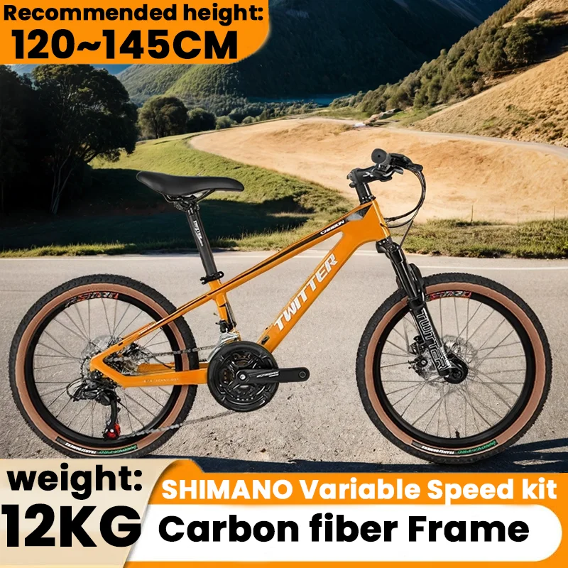 20inch carbon fiber frame mountain bike 21/24speed hydraulic disc brake internal cable routing Lockout Fork off-road MTB Bicycle