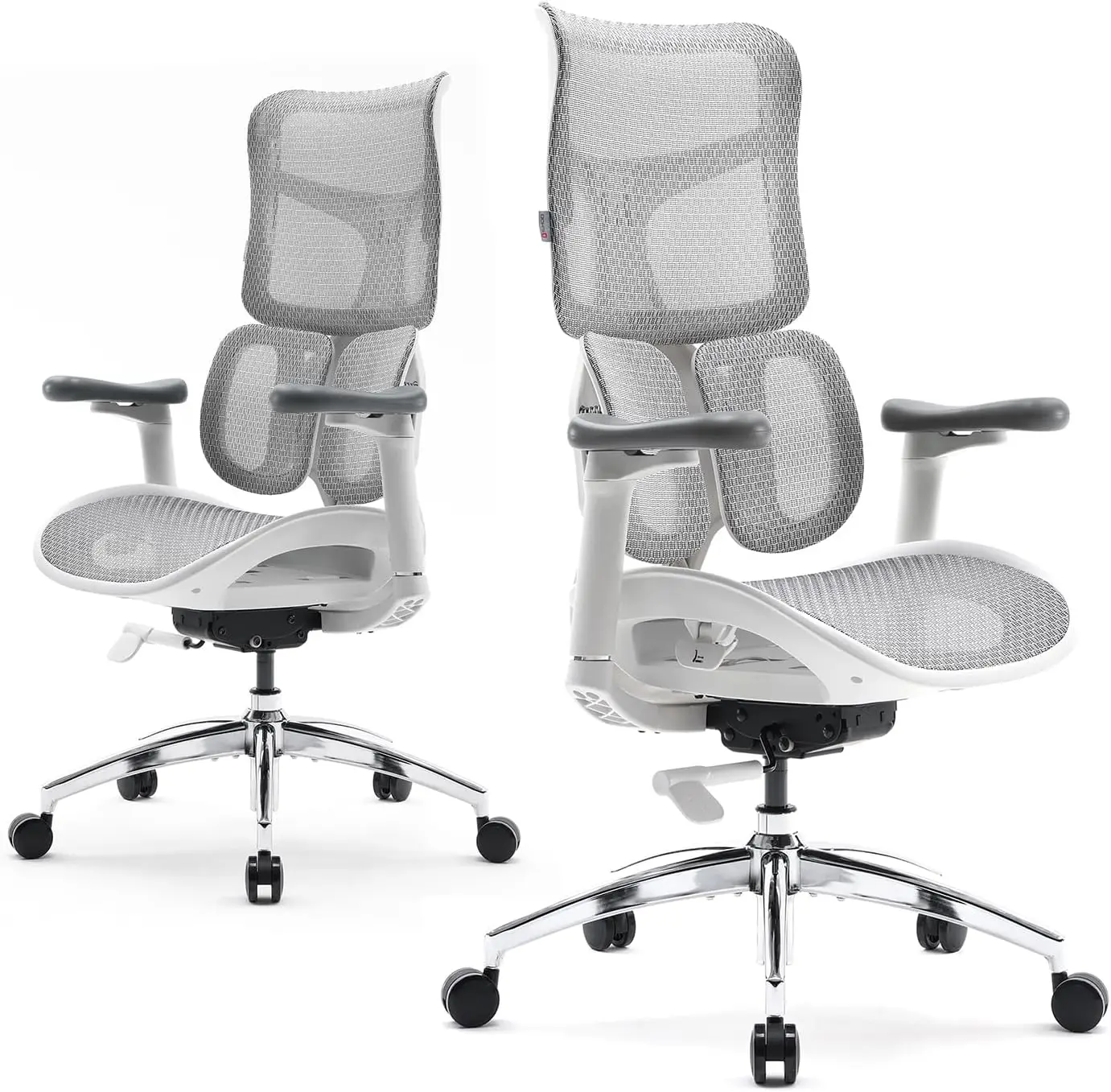 Sihoo Doro S100 Ergonomic Office Chair - With Dual Dynamic Lumbar Support, 5-Level Adjustable Backrest, 4D Coordinated