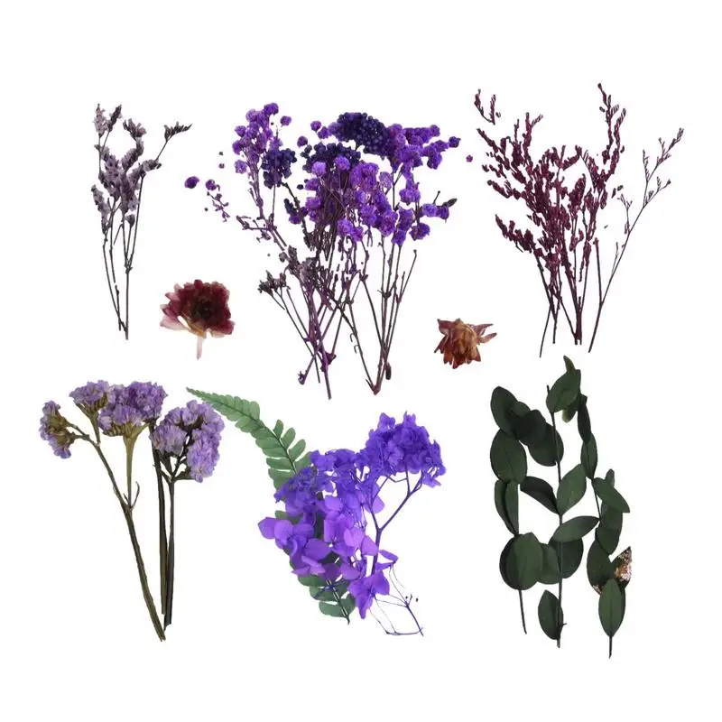 Colorful Dried Flowers Real Natural Plant Pressed Flower DIYs Charmes Jewelry Making Craft Scrapbooking Decorations For Bedroom