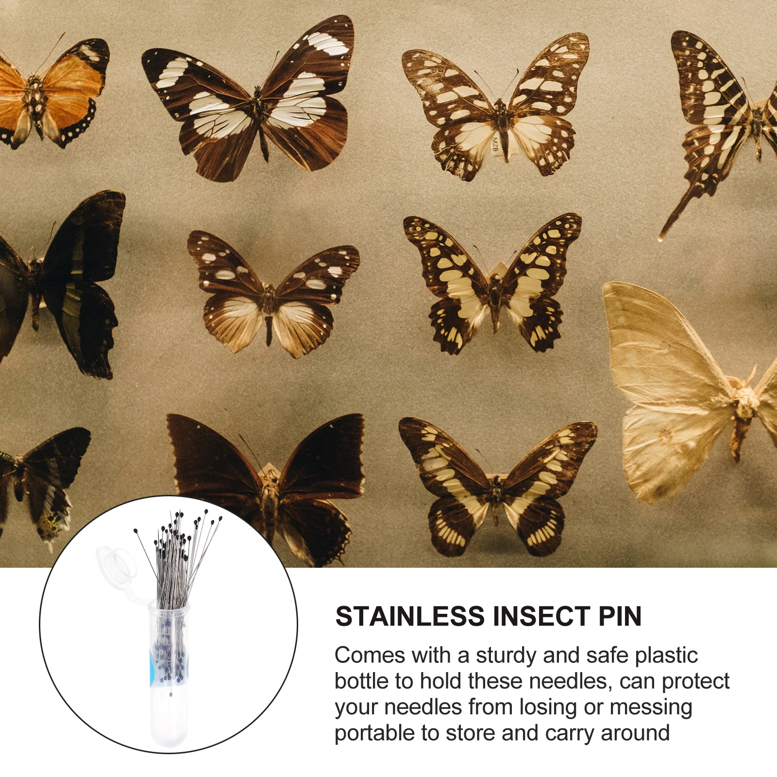 

200pcs Stainless Steel Specimen Pins Lab Tools For Entomology Pinning Kit Dissection Specimen Collector