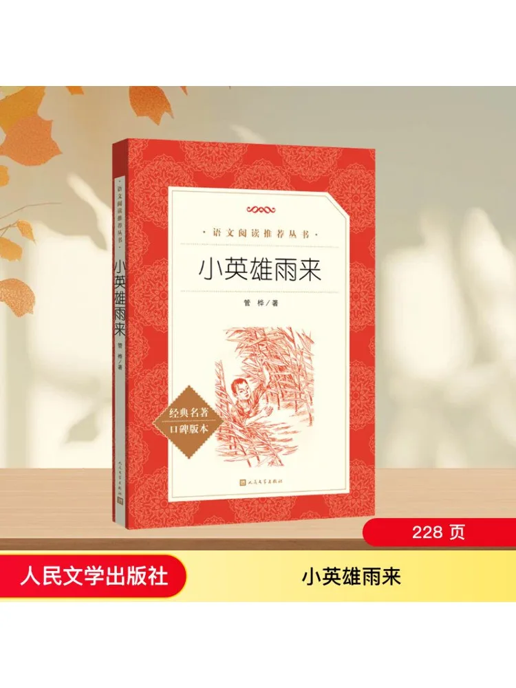 

Книга-Winshare Little Hero поставляется в дожде