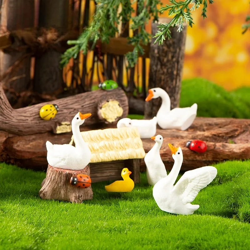12 figurines miniatures en résine de canard et de cygne, ornements d'animaux réalistes pour la décoration de micro-paysages succulents