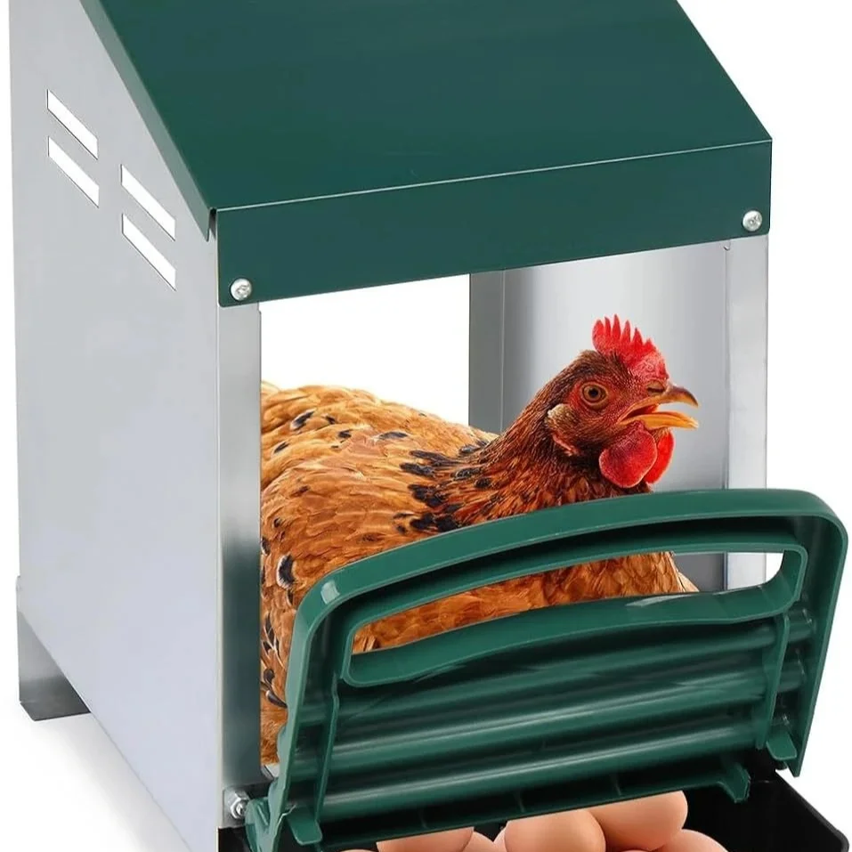 Factory Direct 2026 Chicken egg laying galvanized egg laying box can be hung flat 34 holes easy to assemble