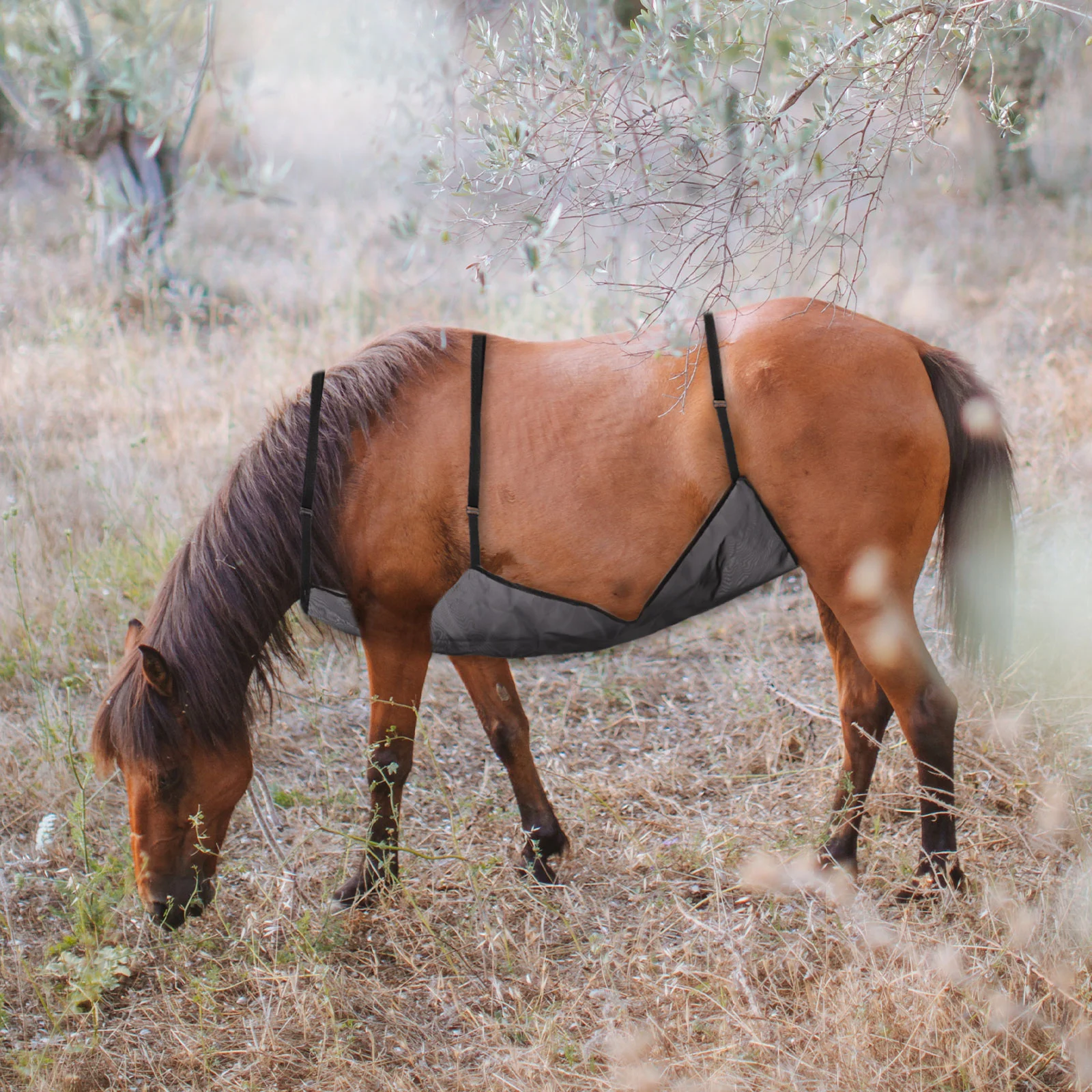 Cubierta protectora para el vientre de caballo, red ajustable, malla UV, cómoda, 12000X6900X010CM, protección para el Abdomen, adulto, negro
