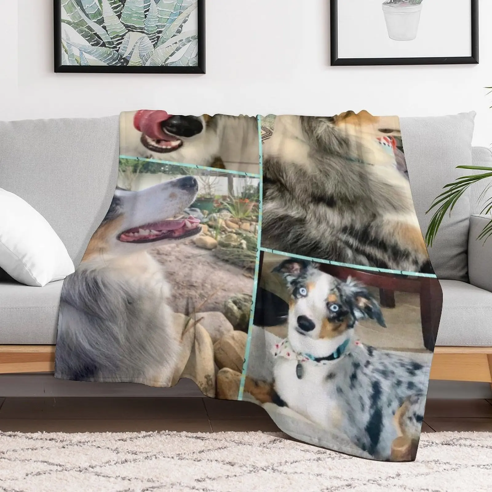 

Australian Shepard Dog Throw Blanket Giant Sofa valentine gift ideas Luxury Designer sofa bed Blankets
