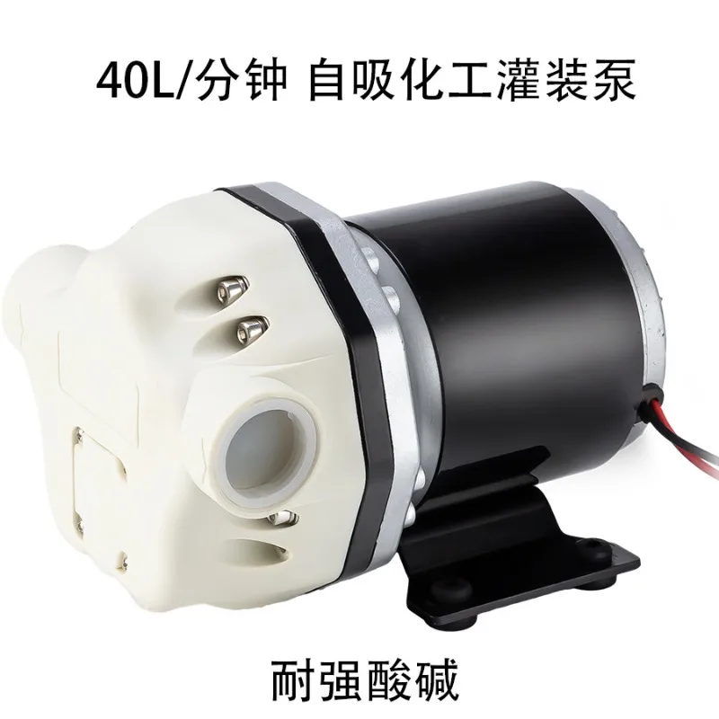 40L Industrial Diaphragm Pump Self Priming Chemical Transfer Pump  Oxalic Acid Nitric Hydrofluoric Acid Battery Liquid Filling