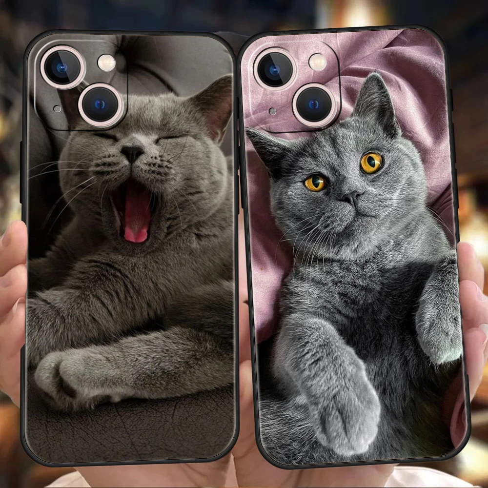 British shorthair cat Luxury Phone Case For iPhone 11 12 13 14 15 16 Pro Max Mini X XR XS 7 8 Plus SE Silicone Cover Black Funda