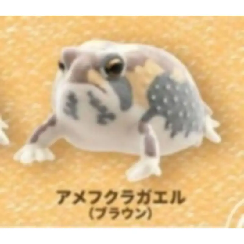 Japan Ikimon Gashapon Capsule Toy Ntc Short Head Frog Ako Palm Steamed Frog Series One