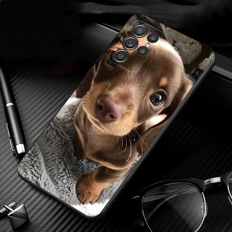 

Phone Case For Samsung Galaxy S26 Plus Edge S25 S24 S23 S22 Ultra S23 S22 S25 Plus S24 FE Dachshund Dog