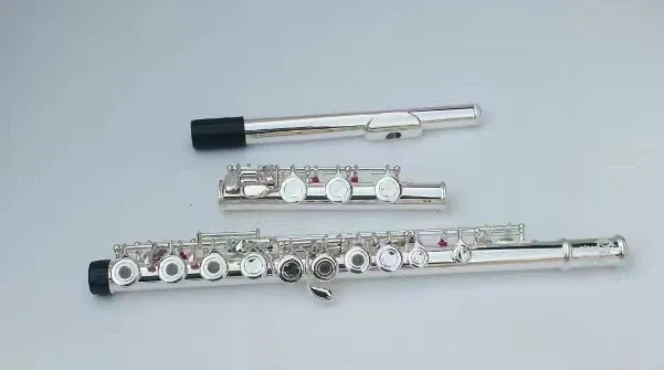 2026 Musical Instrument Entry Grade Flute In C Tone 16 Closed Hole Nickel Plated Flute