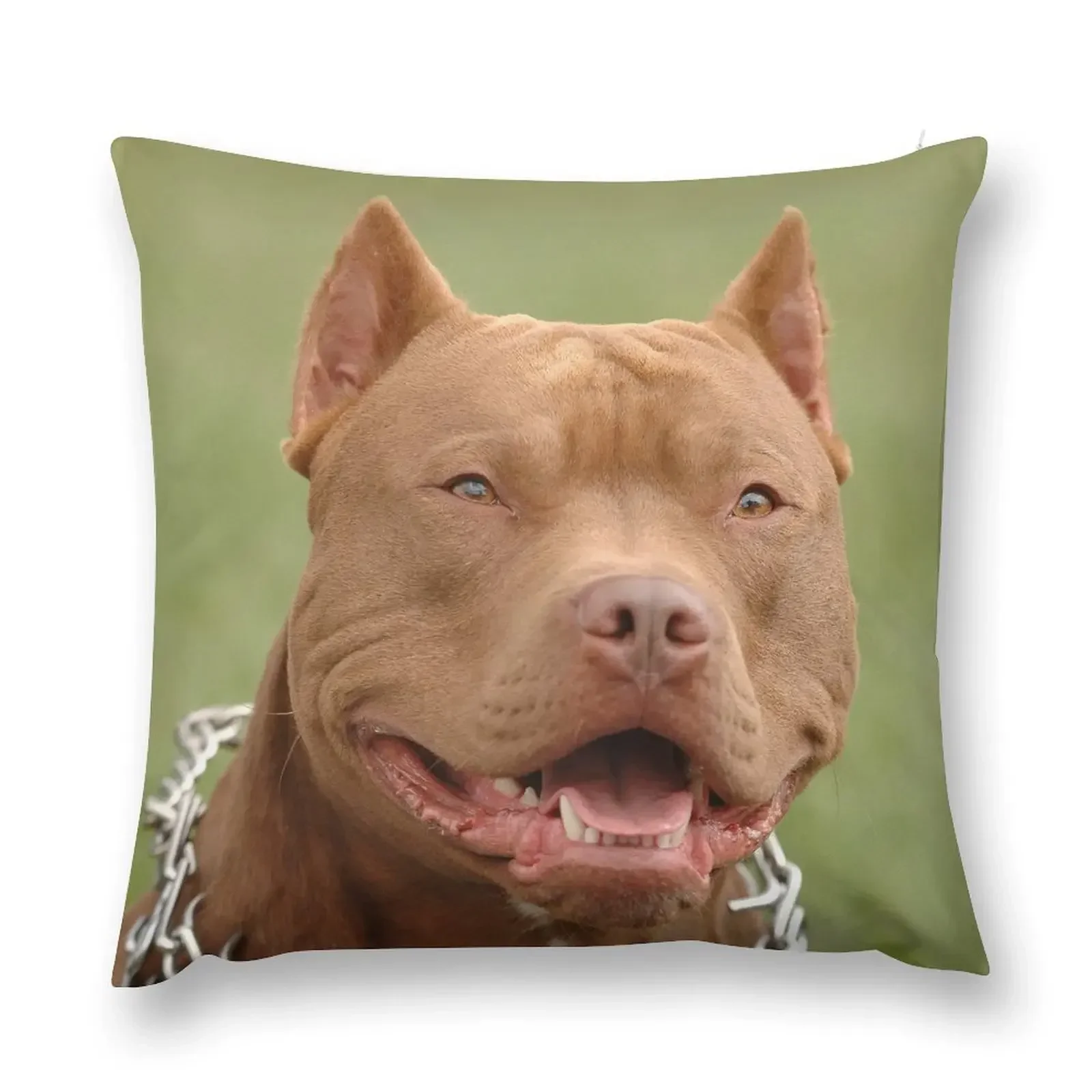 Pitbull red nose dog Throw Pillow pillows decor home Throw Pillow Covers home decor items Cushion Cover pillow