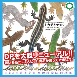 Kitan Club Capsule Lizard Gecko Takydromus Model Toys Miniature Keychain Pendant Lizard Gashapon Toy for Kids Gifts