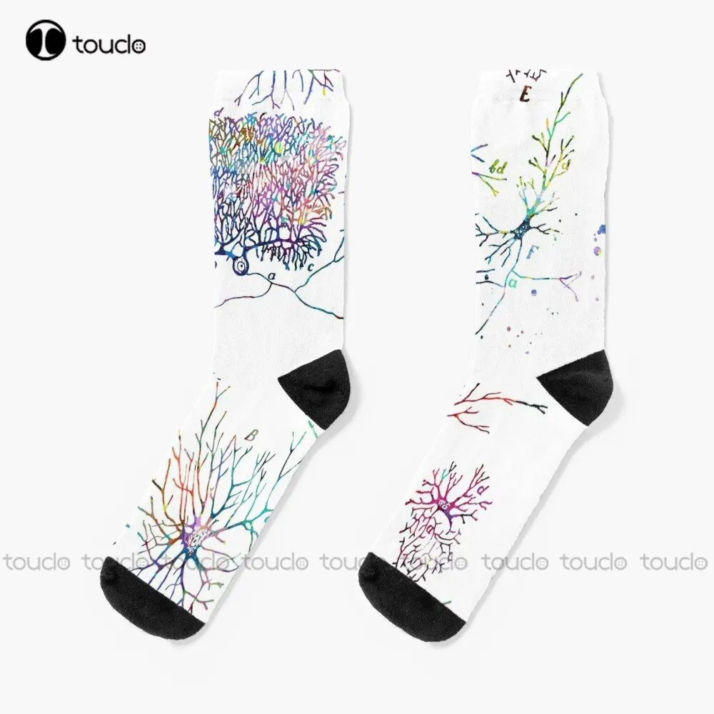 Human Nerve Cell Types Anatomy Socks Black Long Socks Personalized Custom Unisex Adult Teen Youth Socks Custom Gift Streetwear