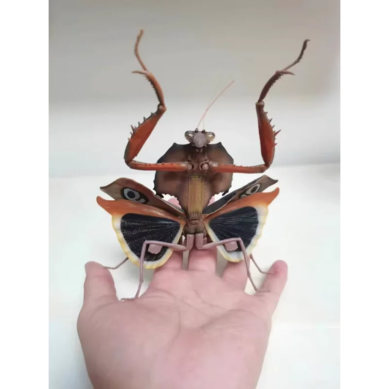 بانداي الأصلي غاشابون الموسوعة البيولوجية سلسلة 4 الميت ورقة السرعوف الحشرات الشكل-مجموعة أنيمي ، الصحراء التمويه علة