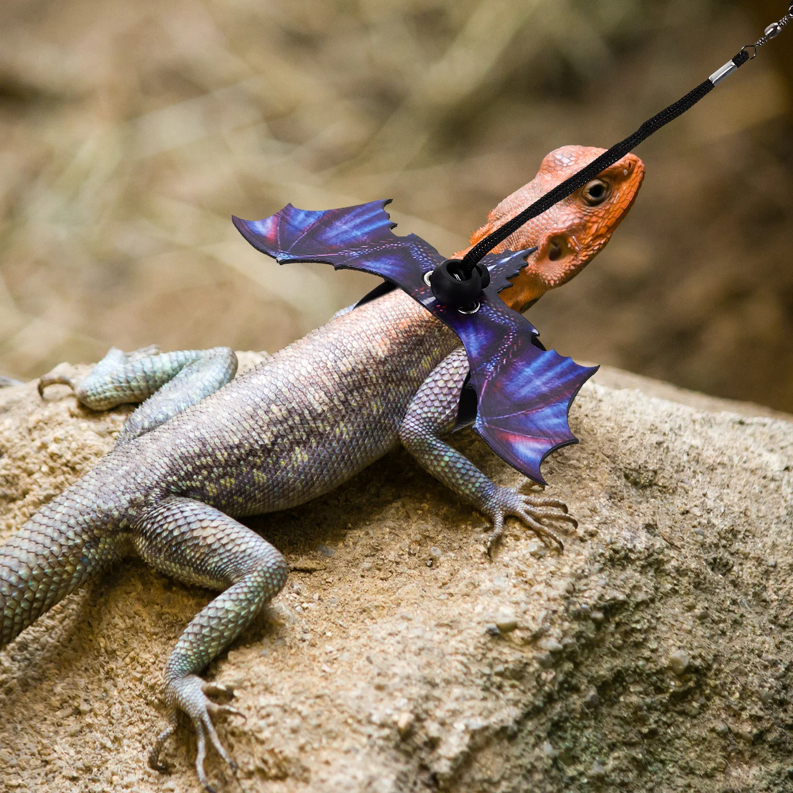 

Cloth Lizard Leash Reptile Harness for Bearded Dragons Small Pets Walking Rope Outdoor Decorative Pet Supplies Bat Harness