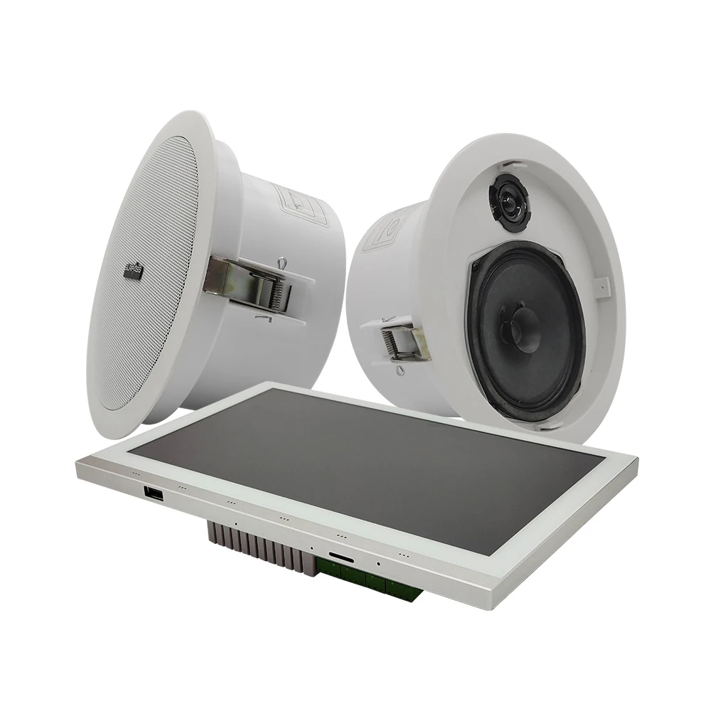 10 Inch IPS Display Amplifier Ceiling Speaker Combos Bass Music Equipment