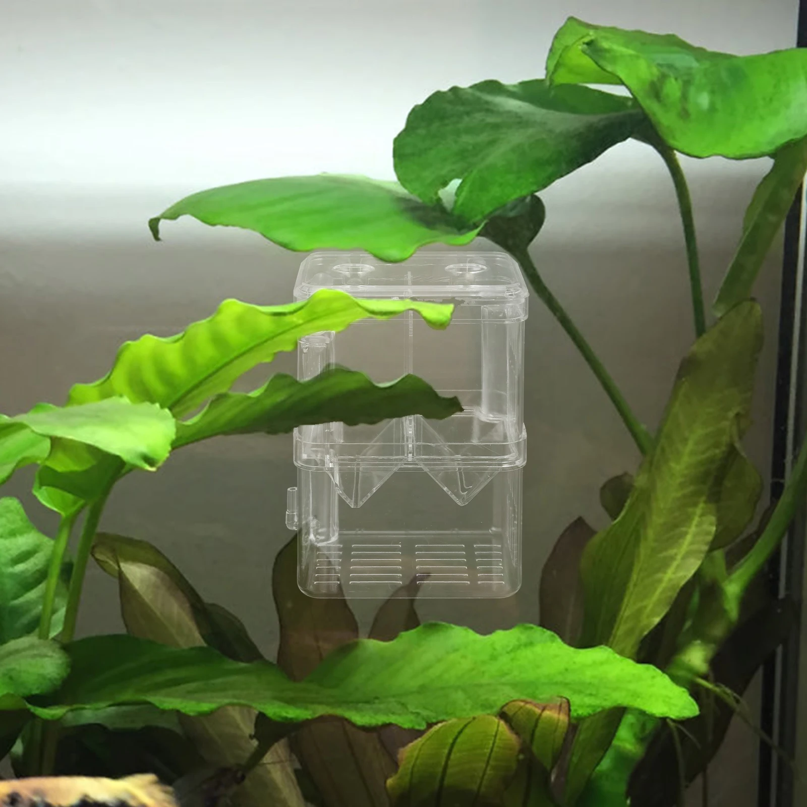 

Airflow Transparent Breeding Hatchery Incubator Double Layer Divider Incubator With Suction Cup Isolation For Betta Breeding
