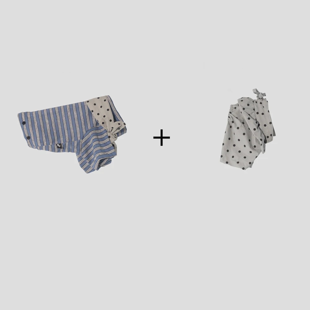 Modieuze tweedelige katoenen sweatshirt voor teckels: een blauw gestreept topje en een grijze broek met stippen, inclusief een bandana voor teckels.