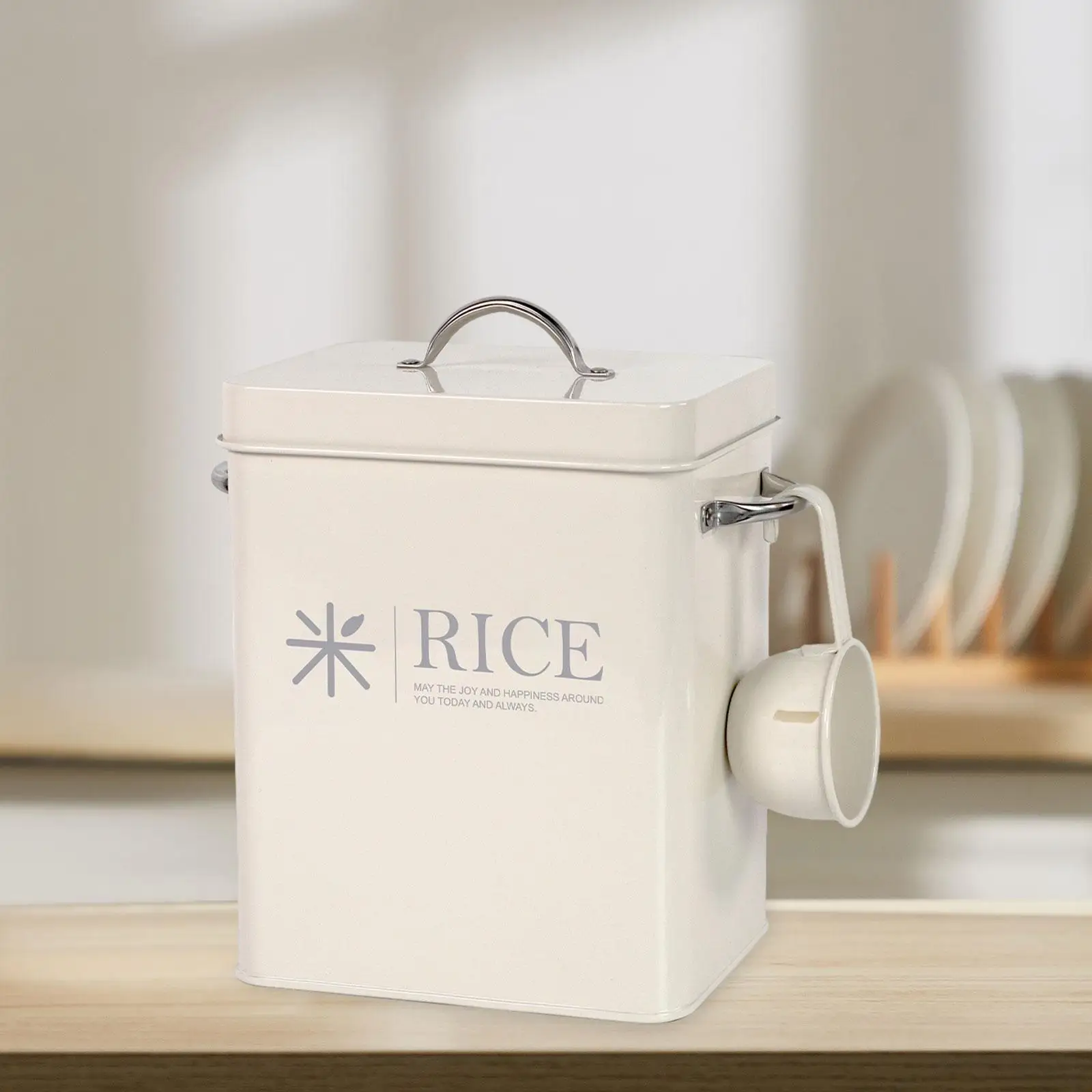 Metal Rice Storage Container Detergent Container Pod Container for Cooking Restaurant Storeroom Counter Picnic