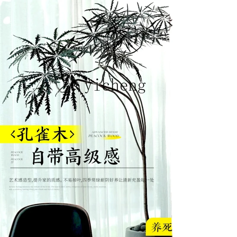 

Zk Schefflera Elegantissima Green Plant Indoor Large Pot Living Room Office Internet Celebrity Foliage Plant Floor