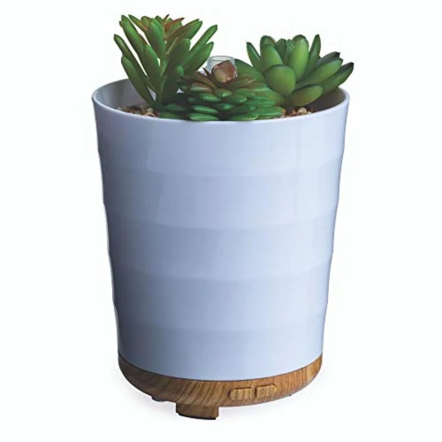 

Airome Potted Succulent Medium Essential Oil Diffuser 100 mL Humidifying Ultrasonic Aromatherapy Diffuser 8 Colorful LED Lights